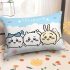 Chiikawa Surrounding Pillow (1)